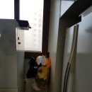 당진대동다숲@ 이미지