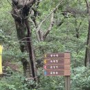 오르막40 이미지