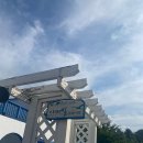 지중해 풀빌라펜션 이미지