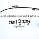 개미똥구멍 이미지