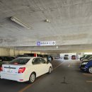 뽑GO뽑GO | 오키나와 라운드 원 렌트카로 방문 후기