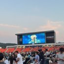 드로니 | 충주 다이브 페스티벌 2일차 방문 후기! 치맥과 함께 축제 즐기기
