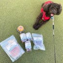 맛있개 건강하개 이미지