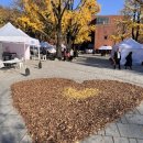 옥탑방 | 혜화 연극(옥탑방 고양이 후기, 틴틴홀, 대학로 연극)