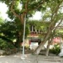 서부금오관광