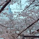 온포 | 동래 파티룸 온포레스트 브라이덜샤워후기