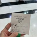 진도해파리