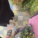 부산프리미엄아울렛코메타LUX