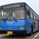 대성공영(주) 네이버블로그