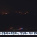 강릉인력 이미지