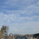 세븐일레븐 대전월평공원점 | 대전 도안동 신상 공원 [갑천생태호수공원] 구석구석 사진스팟 후기