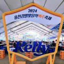 강원도 홍천 맥주축제 후기 홍천강 별빛음악 맥주축제