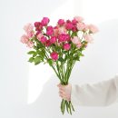 꽃 쇼핑하우