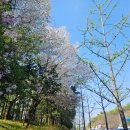 송림고교.이매촌성지아파트.청구아파트 이미지