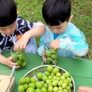 다숲어린이집 네이버블로그