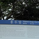 수산리-15 | 제주여행 가볼만한곳 : 수산리 수산한못, 제주시 용두암, 종달리 고망난돌, 성산일출봉, ...