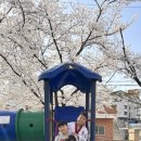 상무태권도 이미지