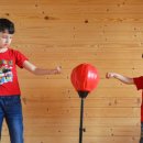 와일드브로스 이미지