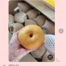 정말조은마켓 이미지