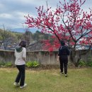 이층민박 이미지