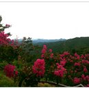 도화동산 이미지