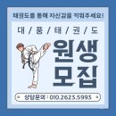 대풍태권도장 이미지