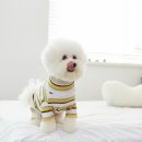 너랑나랑 행복하개 이미지