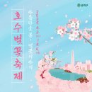 2025 석촌호수 벚꽃 실시간 개화 현황 / 벚꽃축제 일정, 주차, 먹거리