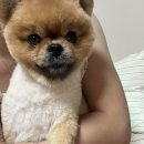 옥계리 원감다리 옆 | 37. 밀린 일기(1)