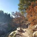 우드캐슬 이미지