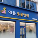 진성동물병원 이미지