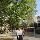 신촌역 6번 출구 공원 안쪽 | 신촌맛집 숯길등심, 홍대 레드로드 벚꽃뷰 보며 즐기는 가성비 한우 데이트 후기