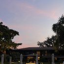 꼼바이꼼 | 3. 수영장, 피쉬클럽 - 메뉴 추천, 꿀팁, 가격, 아이들 놀거리 가족여행 우정여행, 내돈내산 꼼꼼후기