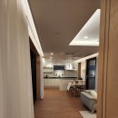 네이처러스 판포나일 이미지