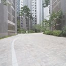 포레스트21
