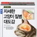 에이알씨(주) 이미지