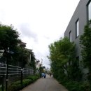 비제이티컴퍼니닥터비커피 | [ 240831~0905_TOKYO (1) ] 첫 혼자 해외 여행이다앗~! 시부야 부터 뿌셔보자~! ft.혼자도쿄여행후기