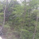 무성공인중개사사무소 이미지