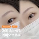 [서울/ 마곡] 와이오브로우 - 마곡나루 속눈썸펌 잘하는 곳 추천, 솔직한 후기