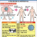 SI방역