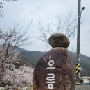 힐링오름캠핑장 이미지