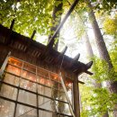 숲속 아지트 이미지