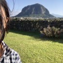 서툰가족 4번지 이미지