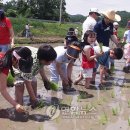 농촌사랑 영농조합법인 이미지
