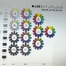 503Lab | [경성대퍼스널컬러] 컬러스토리 퍼스널컬러 진단 후기 : 내가 여쿨 뮤트라니