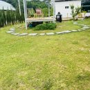 토끼집스테이 이미지