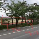 과천 경마장 경마공원 렛츠런파크 데이트 나들이 준비물 꿀팁 총정리