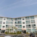 표선리-20 이미지