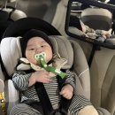 원평분수공원 농구장 | 머리 흔들림 없는 순성 아크 카시트로 부산 근교 아이랑 가볼만한 곳 김해연지공원, 울산대공원 동물원