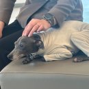 다오동물병원 이미지